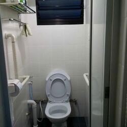 Blk 219 Lorong 8 Toa Payoh (Toa Payoh), HDB 4 Rooms #557200501